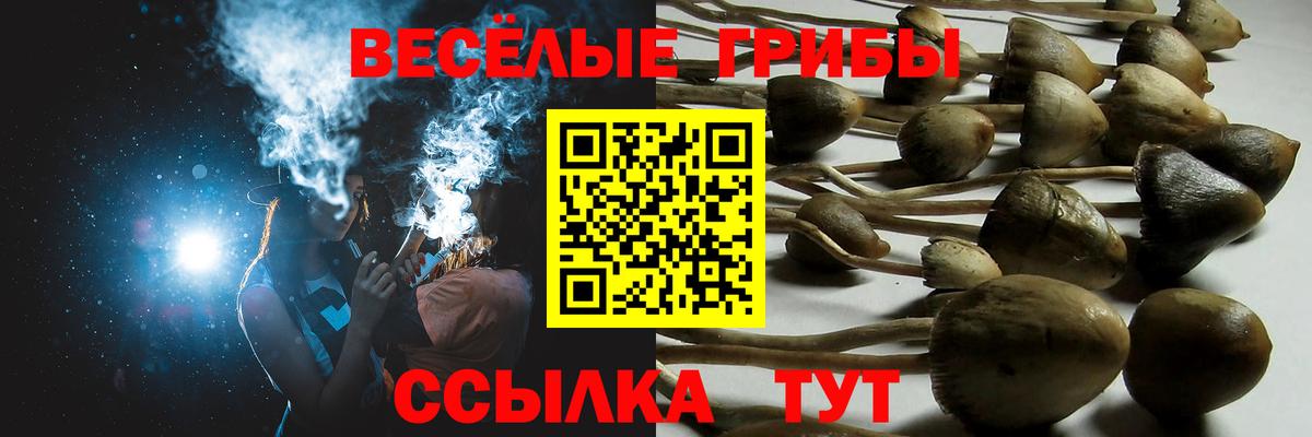 Галлюциногенные грибы мухоморы Новочебоксарск