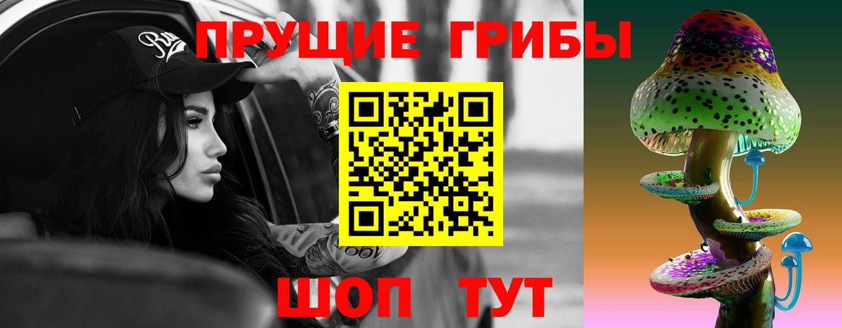 Галлюциногенные грибы Psilocybe  Вход с VPN  Новочебоксарск 